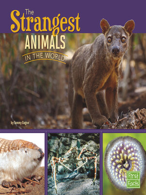 cover image of The Strangest Animals in the World